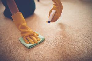 TheRugMan carpet cleaning Adelaide